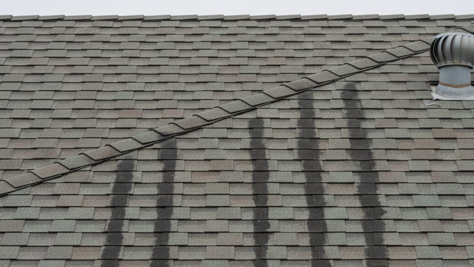 Close-up of dark algae streaks running down an asphalt shingle roof on a coastal San Diego home showing the classic gloeocapsa magma pattern